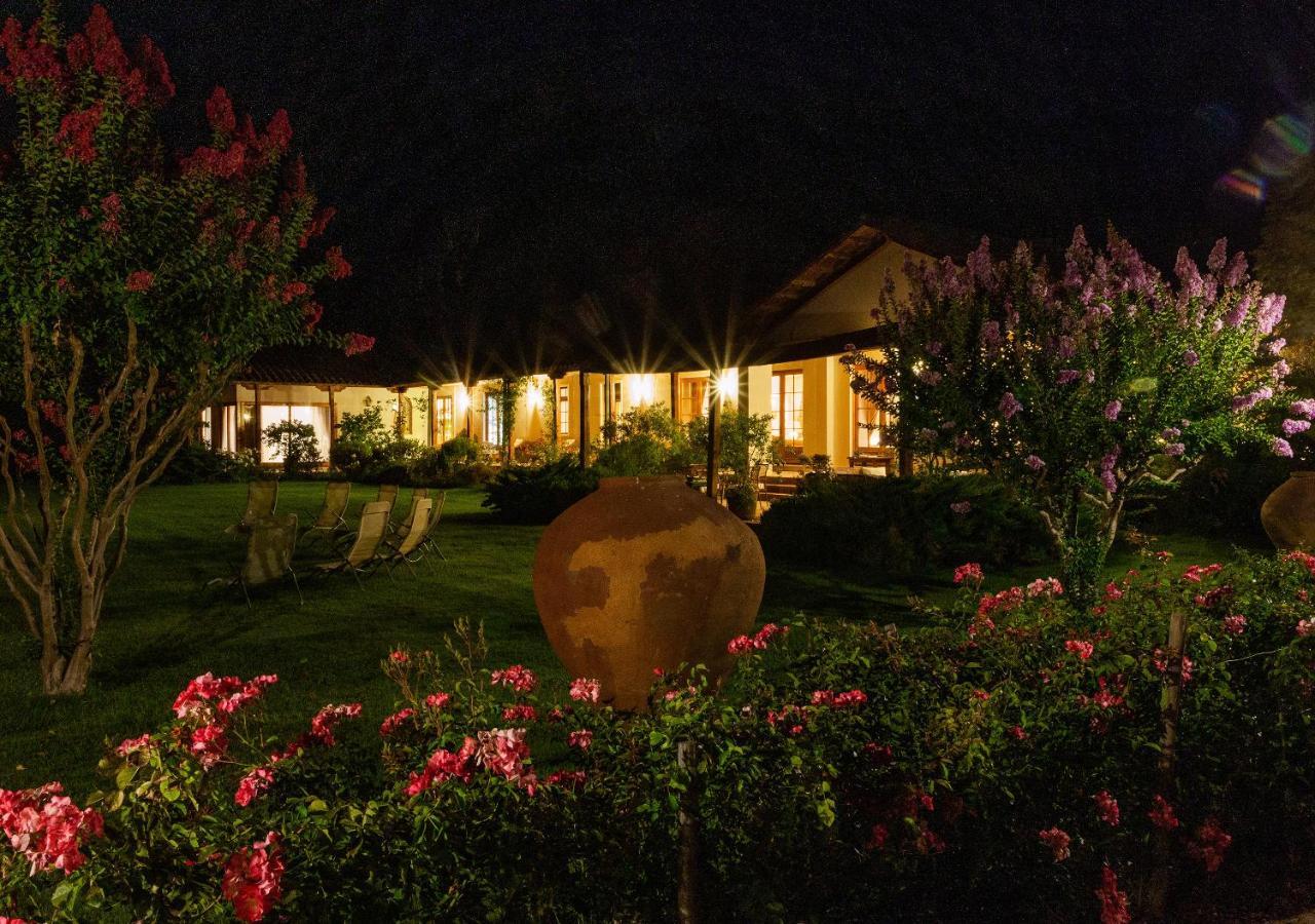 Hotel Boutique Almahue Pichidegua エクステリア 写真